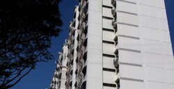 Blk 4 Ghim Moh Green (Queenstown), HDB 3 Rooms #457229941